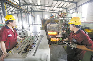 武强 技术开发领域的璀璨新星与未来展望